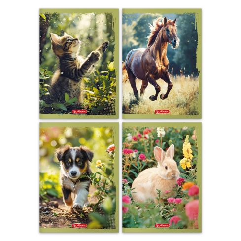 Zeszyt A4, 32 kartki w kratkę, Animals