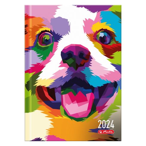Kalendarz dzienny A5 POP-ART, kolorowy pies 2024