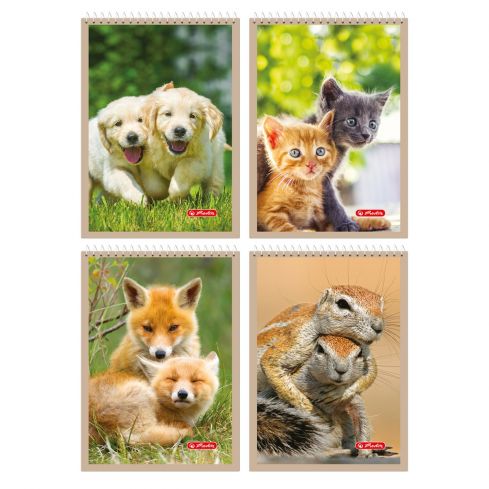 Kołonotatnik A6 40 kartek w kratkę Animals