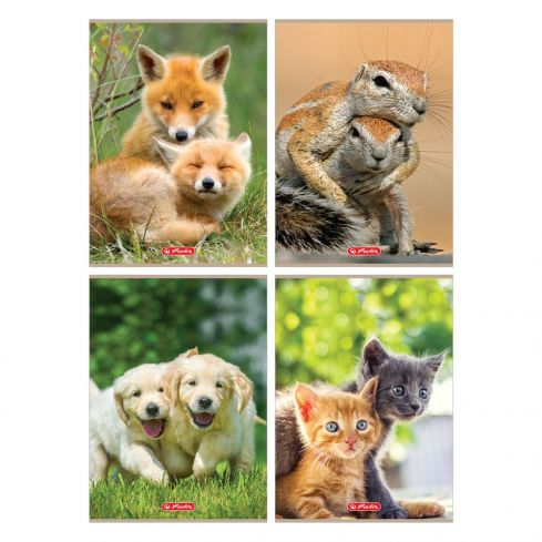 Zeszyt A4, 32 kartki w linię podwójną, Animals